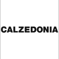 Calzedonia logo